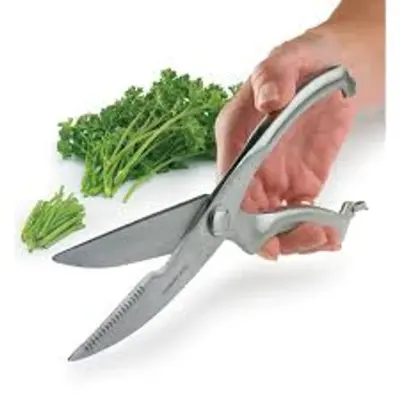 Stainless Steel Kitchen Shears – Multi-Purpose Kitchen Cutter