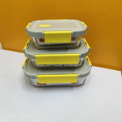 Borosilicate Glass Food Container Combo Set
