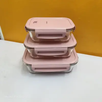 Borosilicate Glass Food Container Set with Airtight Lids
